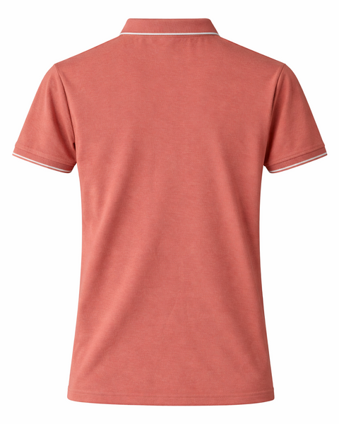 Imported Premium Polo Shirt with Contrast Collar